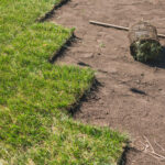 Laying sod for new garden lawn - turf laying concept