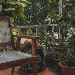 Balcon avec des plantes